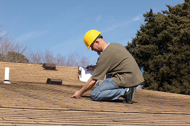 Best Roof Moss and Algae Removal  in Parma, OH